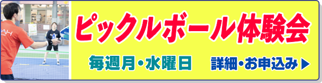 ピックルボール体験会