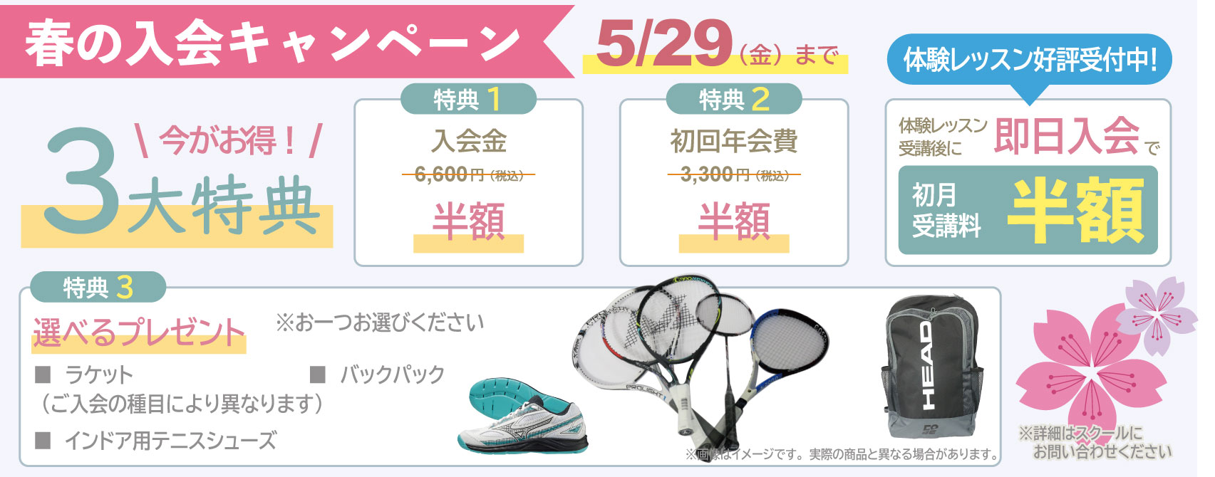 テニススクール・ノア 2026年春の新規入会キャンペーン